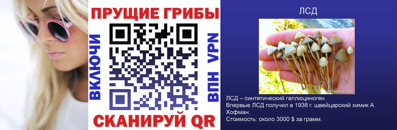 Галлюциногенные грибы мухоморы  Купить  Нальчик 